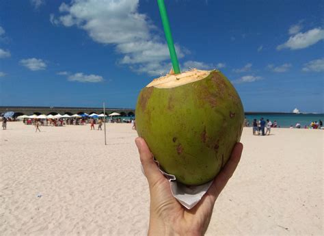 Refreshing and Good for You: The Benefits Of Coconut Water - Yucatán ...