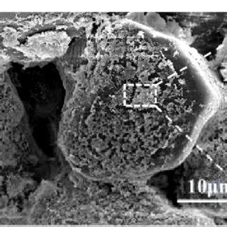 Surface morphology of the Al2O3 support (a), the microstructure of the ...