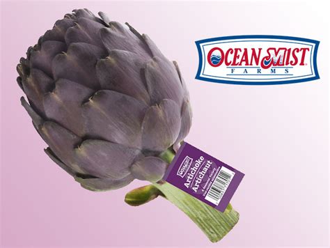 Ocean Mist Farms Debuts Purple Artichoke Production Perishable News