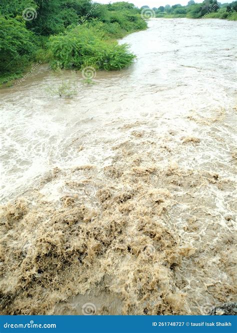 Mud And Runoff Pond During Heavy Rains Marshes Are Reached As Water