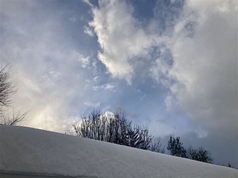 macki (@_mackinac) / Twitter