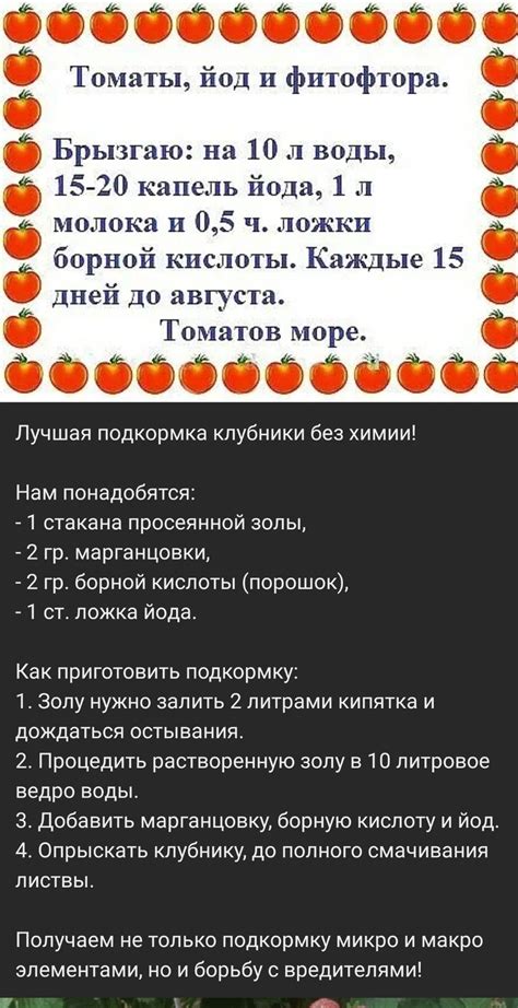 Пин от пользователя Анна на доске полезные советы в огороде | Крытое ...