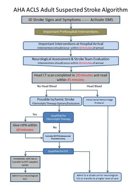 Adult Stroke Algorithm Acls Free Hot Nude Porn Pic Gallery