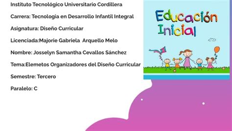 Elementos Organizadores Del Dise O Curricular