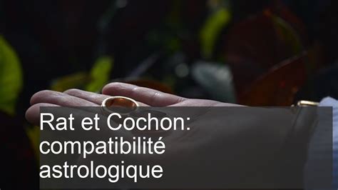 Rat et Cochon Sanglier Compatibilité en Amour et en Relations pour