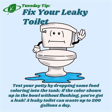 Fix Your Leaky Toilet | Tuesday Tip