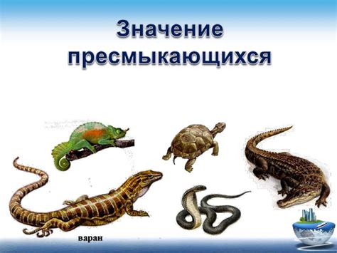 Значение Пресмыкающихся - презентация онлайн