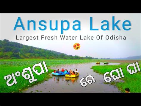 Largest Fresh Water Lake In Odisha Ansupa