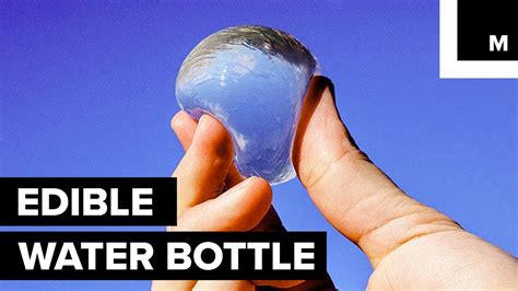 Scientists Have Created Edible Water Edible Water Bottle How To Make