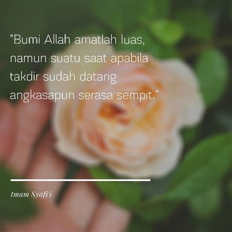 Cinta ImamSyafiiQuotes Imam Syafii Quotes Quran Quotes Love Quran