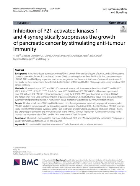 Pdf Inhibition Of P21 Activated Kinases 1 And 4 Synergistically