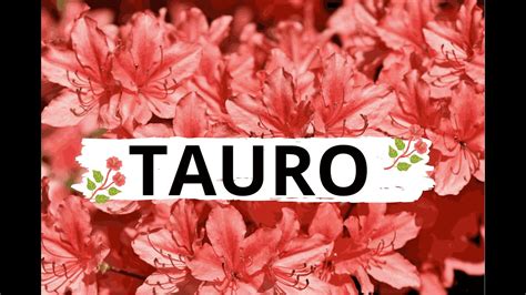 Tauro♉🤩mira Con QuiÈn Te VolverÀs A Encontrar👀💫ahora Busca Esto De Ti