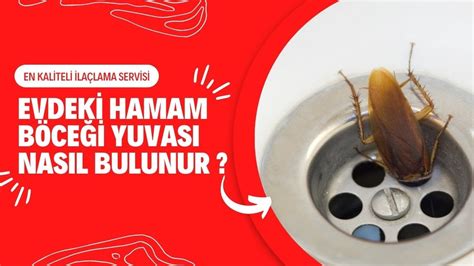 Evdeki Hamam Böceği Yuvası Nasıl Bulunur ilaclama tr YouTube