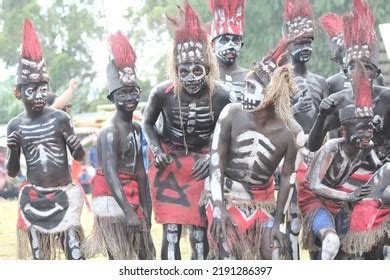 la tribu bodi images stock   objects vectors