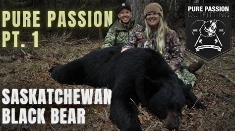 She Arrowed A Huge Bear Saskatchewan Black Bears Youtube