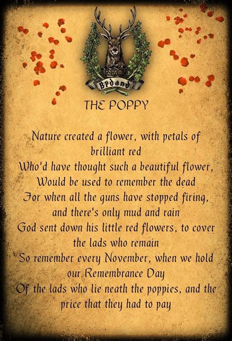 Poppy Poem The Nen North Edinburgh News