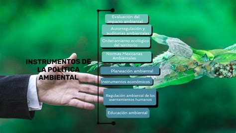 Instrumentos De La Pol Tica Ambiental