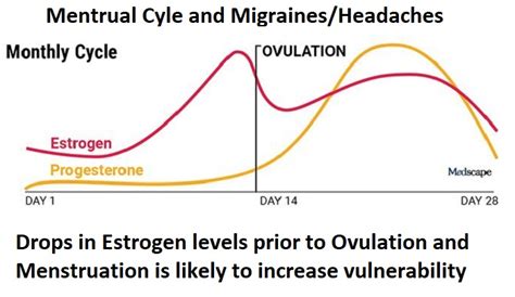 Menstrual Migraines Cause Or Coincidence Au