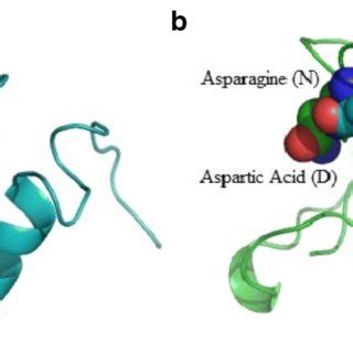 3D Structure Of Extracellular Domain Of OPRM1 Gene A Mapped Mutation