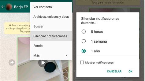 Silenciar Conversaciones En Whatsapp Cómo Hacerlo