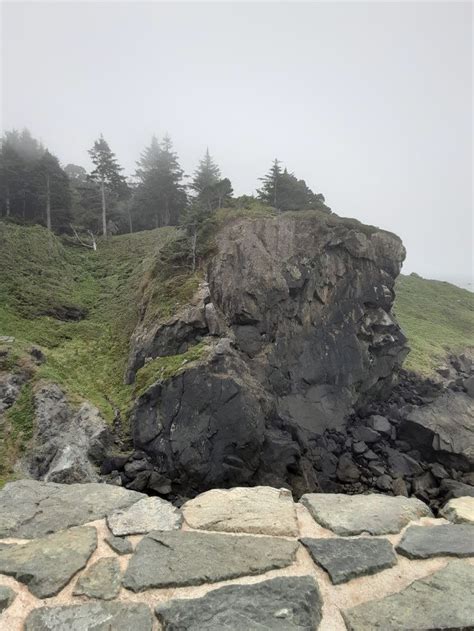 forest cliff scenery forest beach