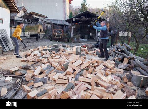 Father And Son Splitting Wood With Axes And Maul Stock Photo Alamy