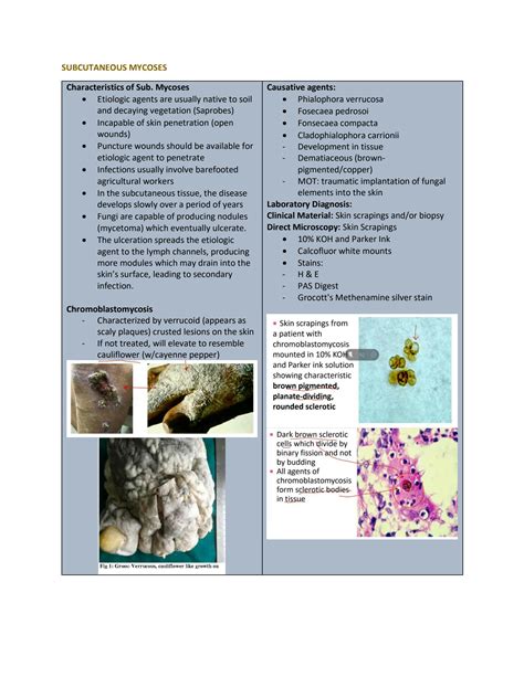 Solution Subcutaneous Mycoses Studypool