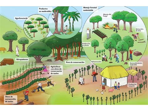 Qu Es El Desarrollo Rural Sustentable Sustentabilidad Fuentes