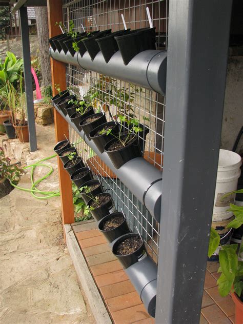 Self Watering Planters Diy Pvc Pipe G Rden Plant