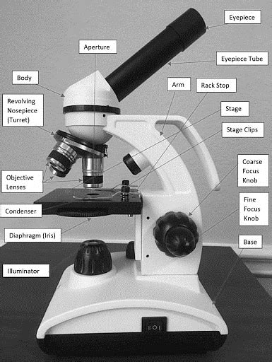 Simple And Compound Microscope Unacademy