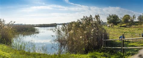 Espais Naturals Del Delta Del Llobregat Consorci De Turisme Del Baix