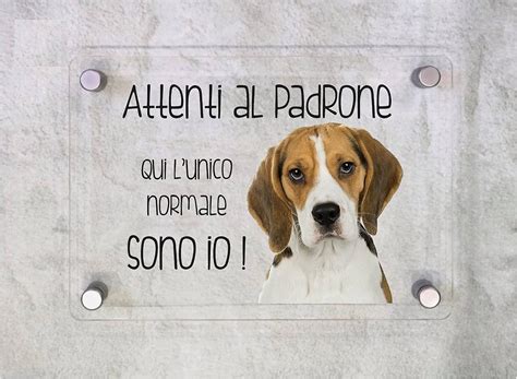 Cartello In Plexiglass Segnaletico Beagle Attenti Al Padrone Qui L