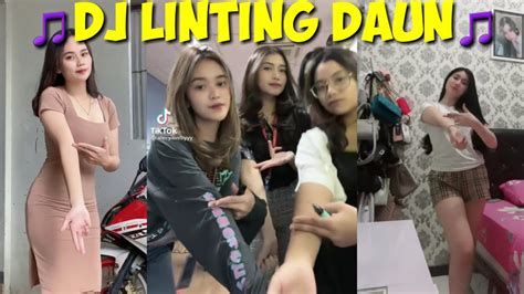 TIKTOK DJ LINTING DAUN REMIX YouTube