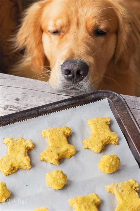 21 Dog Food Recipes For Allergies Artofit
