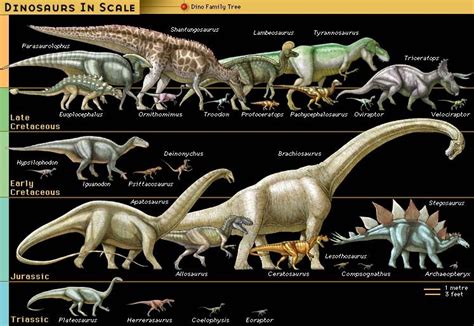 Dinosaur Facts for Kids | Dinosaurs Pictures and Facts