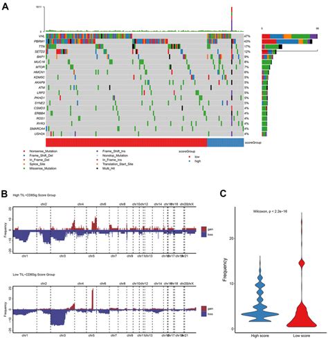 Genetic Landscape Analysis Of Mutation And Copy Number Variation Cnv