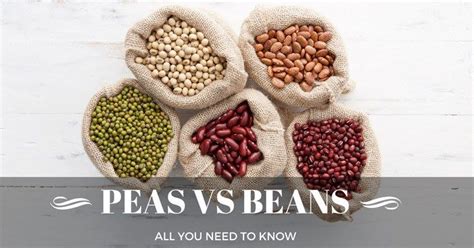 The Difference Between Peas Vs Beans All You Need To Know Apr 2017 Beans Peas Types Of Beans