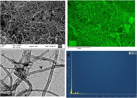 SEM (a), SEM EDX mapping (b), and TEM (c), and SEM EDX (d) of pristine ...