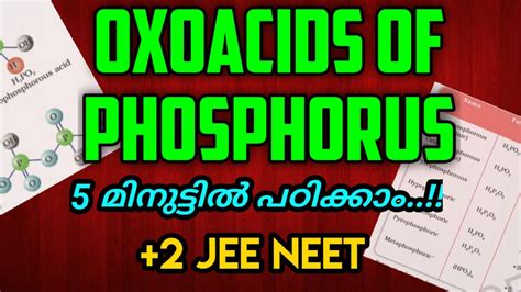 Oxoacids of phosphorus 5 മനററൽ പഠകക plus 2 NEET JEE