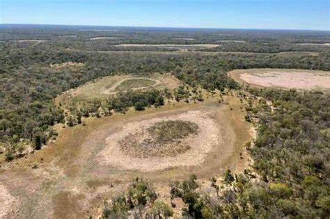 Peti O Pede Que Unesco Inclua Pantanal Na Lista De Patrim Nios