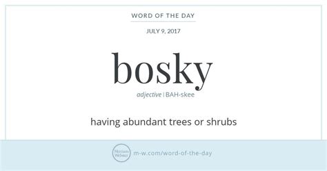 Bosk, busk, bush—in Middle English these were all variant spellings of ...