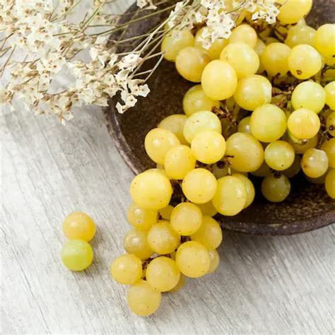 Raisin Blanc Chasselas 1kg Voie Verte