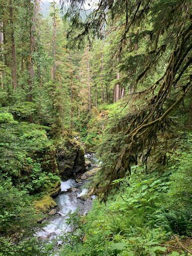 Photos Of Sol Duc Falls Nature Trail Washington Alltrails