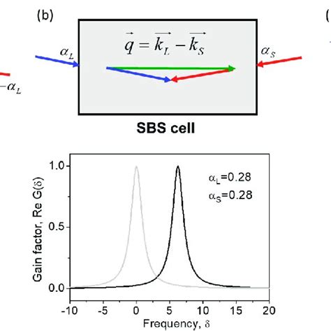 Brillouin Gain Spectra In The Cases Of Interaction Between Eigen Modes