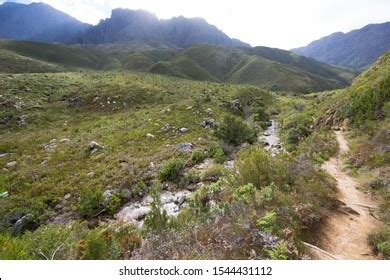 Hiking Trail Jonkershoek Nature Reserve Into Stock Photo 1544431112 | Shutterstock