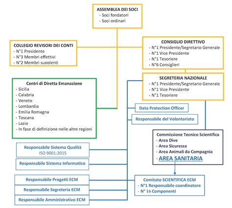 Struttura Organizzativa Ecm Assoformatori