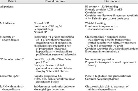 Approach To The Treatment Of Iga Nephropathy Download Table