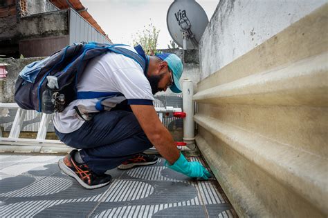 Sa De Atua Nas Ruas A Es De Preven O Contra A Dengue Secretaria