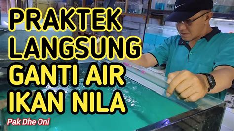 GANTI AIR TANK NILA SEPARO BERANI MARI KITA BUKTIKAN YouTube