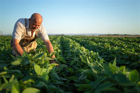 Système de conseil agricole pour améliorer la qualité des cultures